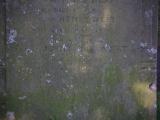 image of grave number 833304